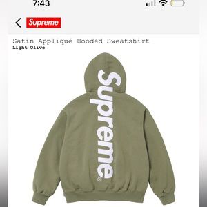 Supreme Satin Hoodie
